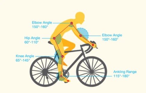 cycling body shape