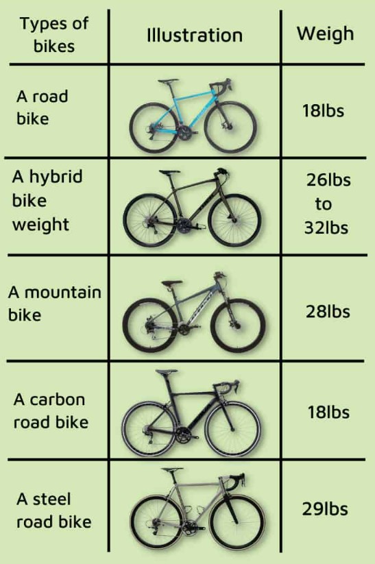 Bicycle weight chart